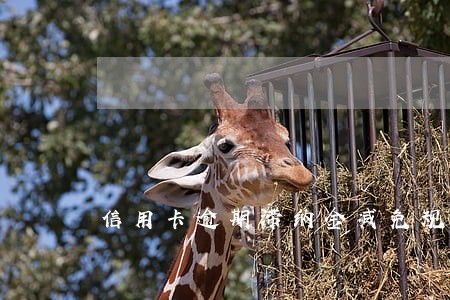 信用卡逾期滞纳金减免规定 信用卡逾期滞纳金减免规定