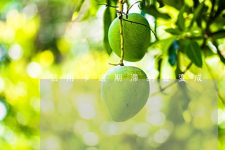 信用卡逾期滞纳金变成 信用卡逾期滞纳金变成