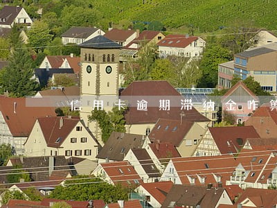 信用卡逾期滞纳金咋箅 信用卡逾期滞纳金咋箅