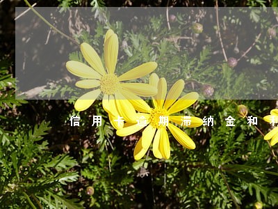 信用卡逾期滞纳金和利息能减免吗 信用卡逾期滞纳金和利息能减免吗