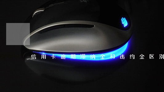 信用卡逾期滞纳金和违约金区别 信用卡逾期滞纳金和违约金区别
