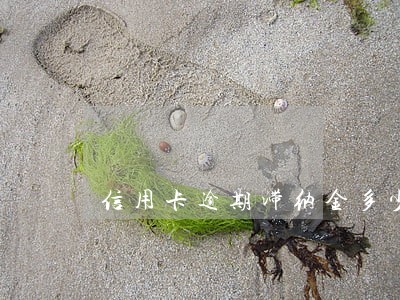 信用卡逾期滞纳金多少6 信用卡逾期滞纳金多少6