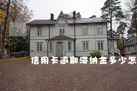 信用卡逾期滞纳金多少怎么查 信用卡逾期滞纳金多少怎么查