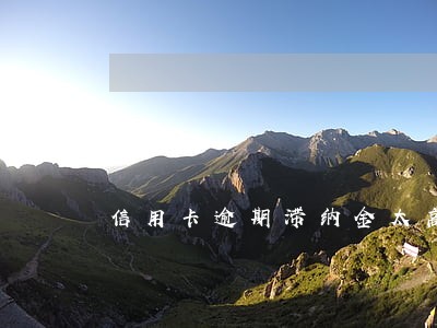 信用卡逾期滞纳金太高怎么办 信用卡逾期滞纳金太高怎么办