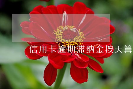 信用卡逾期滞纳金按天算吗 信用卡逾期滞纳金按天算吗