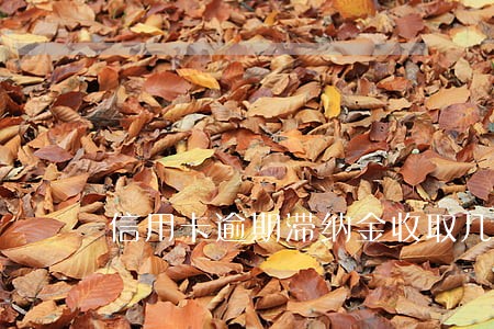 信用卡逾期滞纳金收取几次