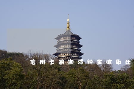 信用卡逾期滞纳金收取比例 信用卡逾期滞纳金收取比例