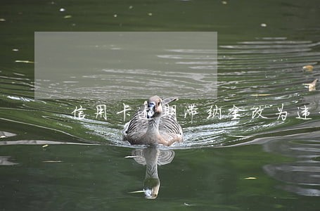信用卡逾期滞纳金改为违约金 信用卡逾期滞纳金改为违约金