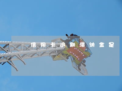 信用卡逾期滞纳金是 信用卡逾期滞纳金是