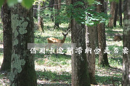 信用卡逾期滞纳金是否要交 信用卡逾期滞纳金是否要交