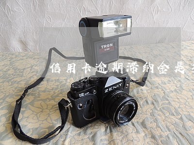 信用卡逾期滞纳金是多少6 信用卡逾期滞纳金是多少6
