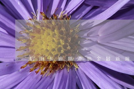 信用卡逾期滞纳金最新规定 信用卡逾期滞纳金最新规定