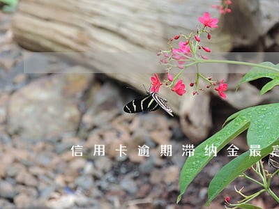 信用卡逾期滞纳金最高限额 信用卡逾期滞纳金最高限额