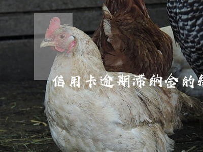 信用卡逾期滞纳金的短信截图