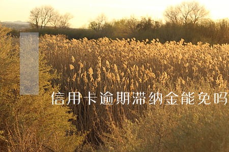 信用卡逾期滞纳金能免吗 信用卡逾期滞纳金能免吗
