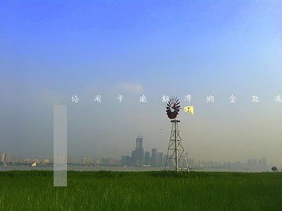信用卡逾期滞纳金能减免吗 信用卡逾期滞纳金能减免吗