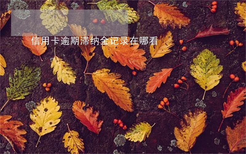 信用卡逾期滞纳金记录在哪看