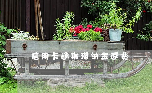 信用卡逾期滞纳金返费 信用卡逾期滞纳金返费