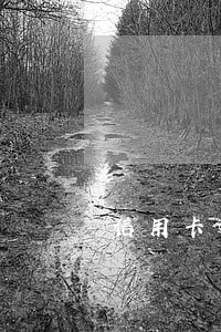 信用卡逾期滞纳金追回