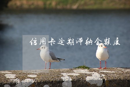 信用卡逾期滞纳金额度