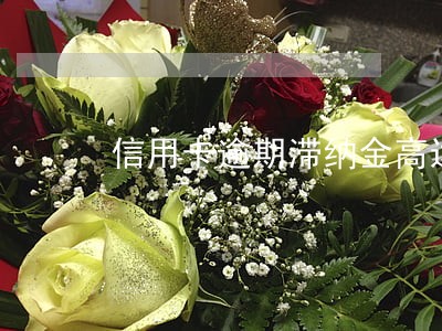 信用卡逾期滞纳金高达百分之三十 信用卡逾期滞纳金高达百分之三十