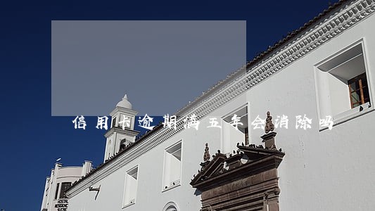 信用卡逾期满五年会消除吗
