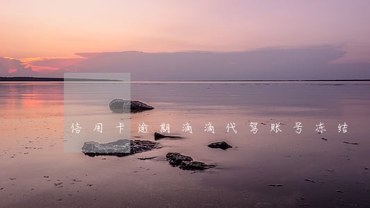 信用卡逾期滴滴代驾账号冻结