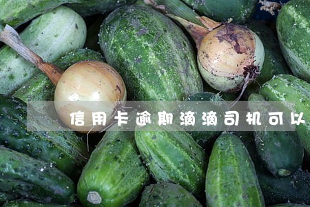 信用卡逾期滴滴司机可以通过吗 信用卡逾期滴滴司机可以通过吗