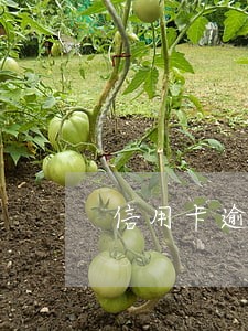 信用卡逾期漂白课程