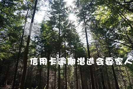 信用卡逾期潜逃会要家人 信用卡逾期潜逃会要家人