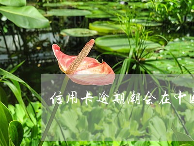 信用卡逾期潮会在中国爆发吗