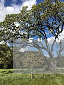 信用卡逾期激活储蓄卡 信用卡逾期激活储蓄卡