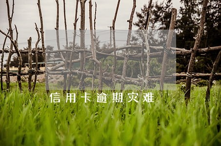 信用卡逾期灾难 信用卡逾期灾难