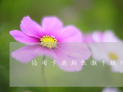 信用卡逾期热潮卡奴们注意了 信用卡逾期热潮卡奴们注意了