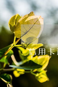 信用卡逾期焦虑 信用卡逾期焦虑
