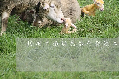 信用卡逾期然后全部还上 信用卡逾期然后全部还上