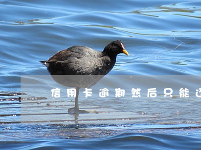 信用卡逾期然后只能还款