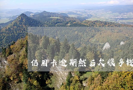 信用卡逾期然后欠很多钱的抖音