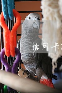 信用卡逾期然后还清了 信用卡逾期然后还清了