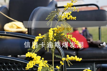 信用卡逾期爆发潮
