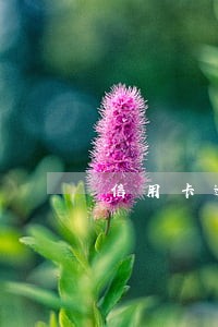 信用卡逾期爆家人的通讯录