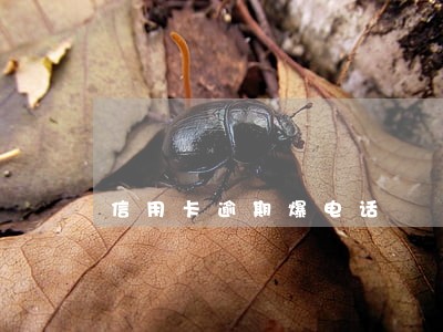 信用卡逾期爆电话 信用卡逾期爆电话