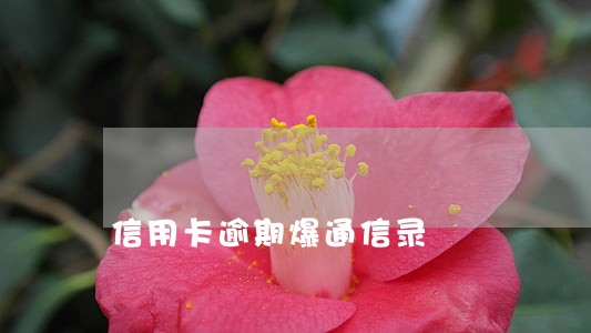 信用卡逾期爆通信录 信用卡逾期爆通信录