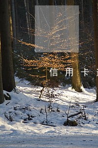 信用卡逾期爆雷