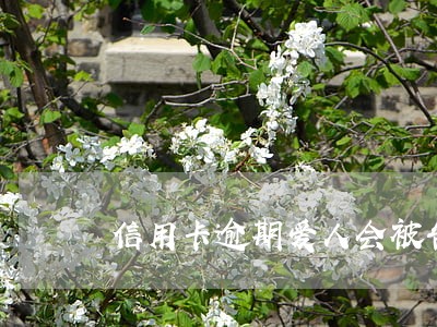信用卡逾期爱人会被告吗 信用卡逾期爱人会被告吗