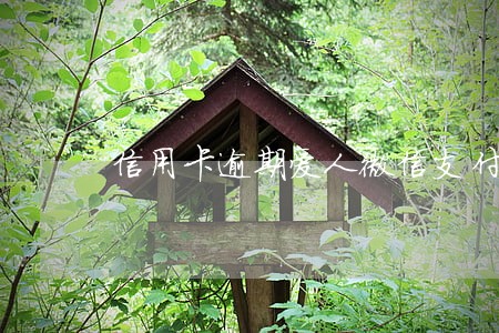 信用卡逾期爱人微信支付宝