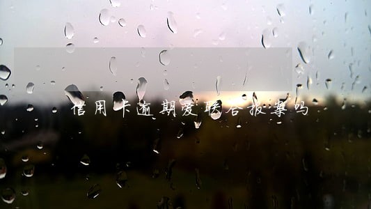 信用卡逾期爱联合报案吗