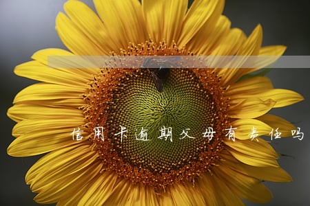 信用卡逾期父母有责任吗