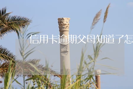 信用卡逾期父母知道了怎么办 信用卡逾期父母知道了怎么办