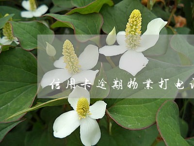 信用卡逾期物业打电话